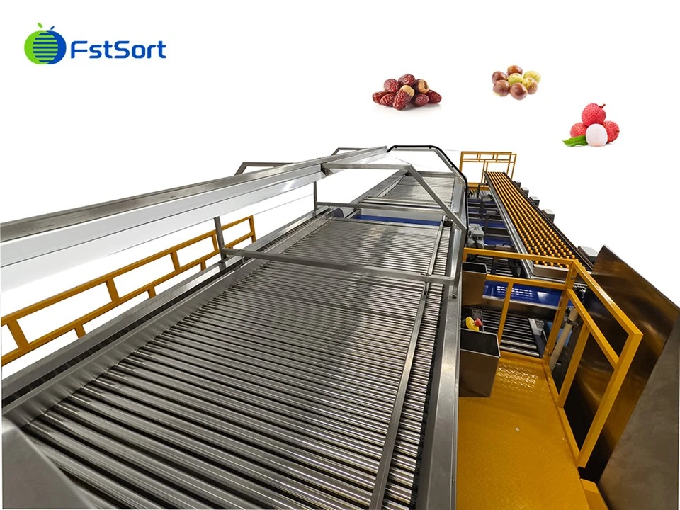 Lychee Roller Sorting Machine best