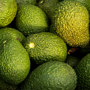 Ethiopia Launches Its Second Avocado Processing Line